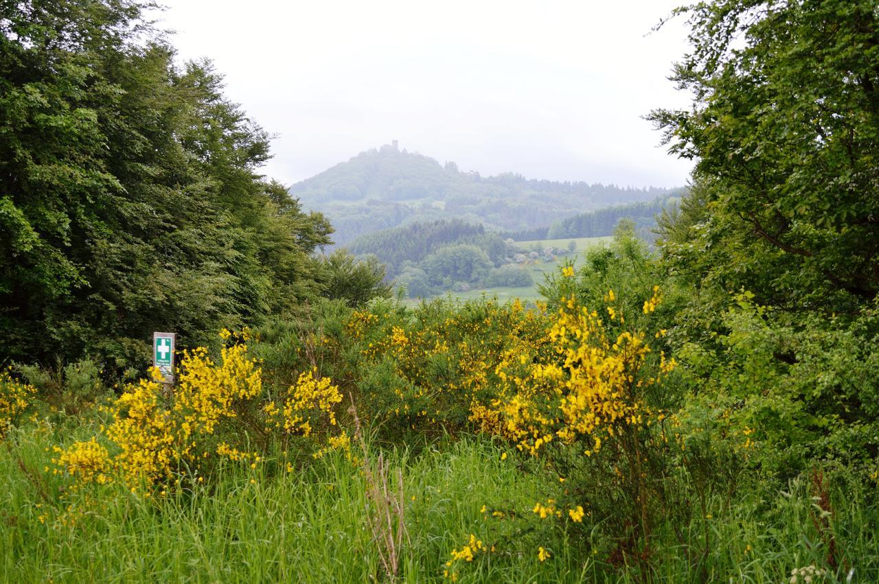 Franky House Am Nuerburgring Bed and Breakfast Quiddelbach Buitenkant foto