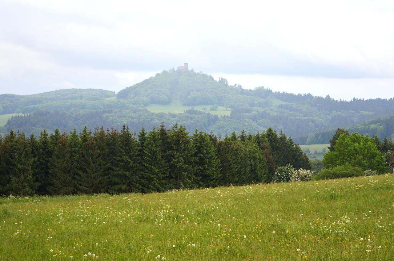 Franky House Am Nuerburgring Bed and Breakfast Quiddelbach Buitenkant foto